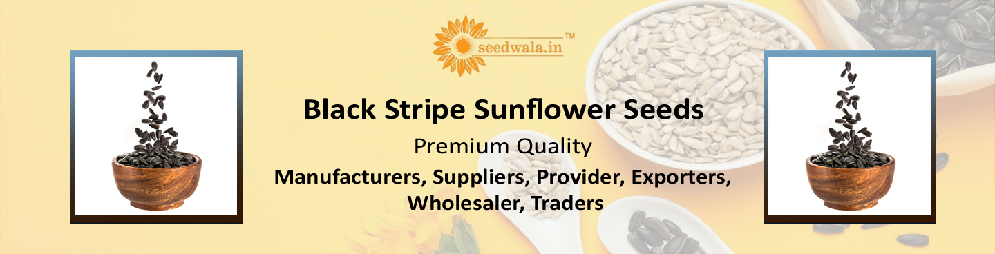 Black Stripe Sunflower Seeds